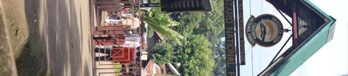 Kilimanjaro Marangu Route 